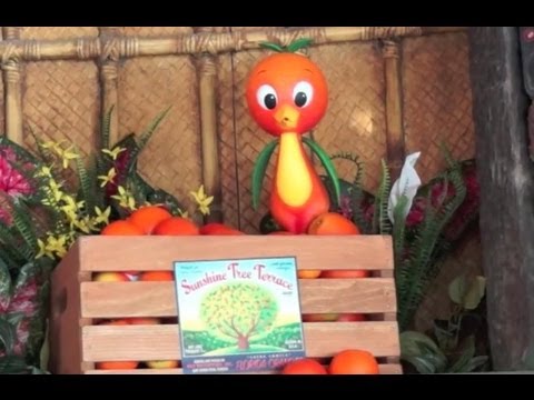 Orange Bird makes his return - D23 presentation at Disney&#039;s Magic Kingdom
