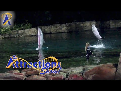 The Attractions Show! - Discovery Cove; Peanuts Celebration; Super Bowl parade; latest news