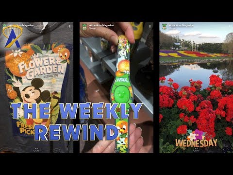 The Weekly Rewind - Flower &amp; Garden, Food &amp; Wine and more