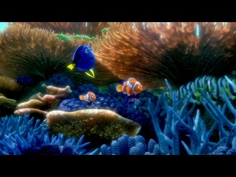 You&#039;ve Found the Latest &#039;Finding Dory&#039; Trailer