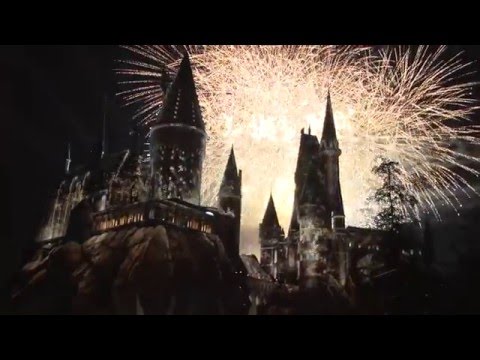 The Wizarding World of Harry Potter Premiere