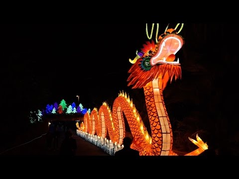 Zoominations - A Chinese Lantern Festival of Lights at Lowry Park Zoo