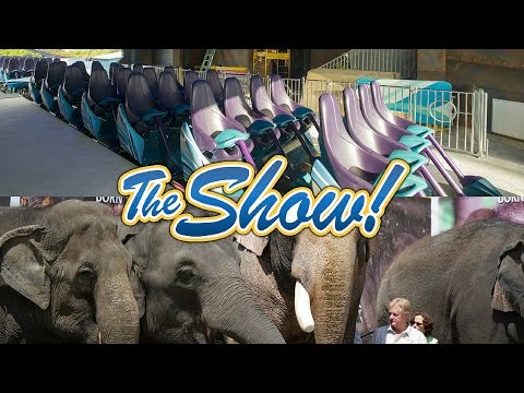 Attractions - The Show - Mako updates; Ringling Bros elephants; latest news - May 12, 2016