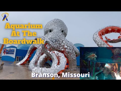 Aquarium At The Boardwalk Tour in Branson, Missouri