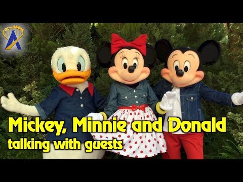 Talking Donald Duck, Minnie &amp; Mickey Mouse interact with guests at Disney California Adventure