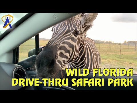 Wild Florida Drive-Thru Safari Park