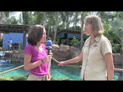 The Show - September 29, 2011 - Orlando Attractions Magazine - Episode 43