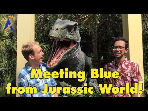 Meet Blue the Raptor Dinosaur from Jurassic World at Universal Orlando