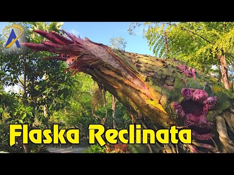 Flaska Reclinata interactive plant inside Pandora - The World of Avatar at Animal Kingdom