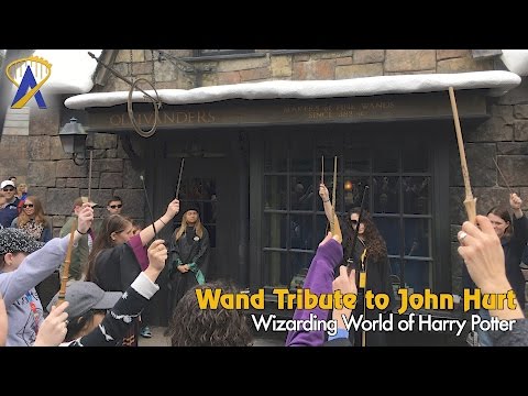 John Hurt (Ollivander) Tribute at Wizarding World of Harry Potter - Official MuggleNet Gathering