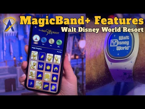 Disney MagicBand+ Interactive 50th Anniversary Statues Interview and Tester Experience