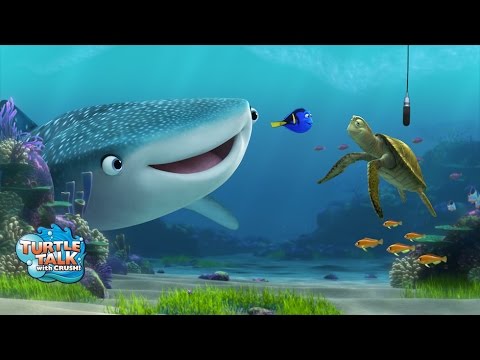 Finding Dory characters added to Turtle Talk with Crush at Epcot