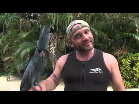 Reality TV stars visit Discovery Cove - Survivor, Big Brother, The Amazing Race