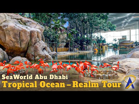First Look at Tropical Ocean Realm of SeaWorld Abu Dhabi – Guided Tour