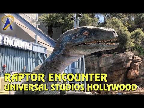Raptor Encounter with Blue in Jurassic World at Universal Studios Hollywood