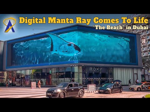 3D Manta Ray Display Comes to Life for SeaWorld Abu Dhabi Grand Opening