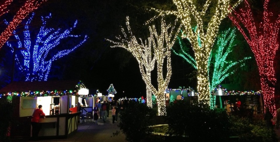 lights at busch gardens tampa christmas town