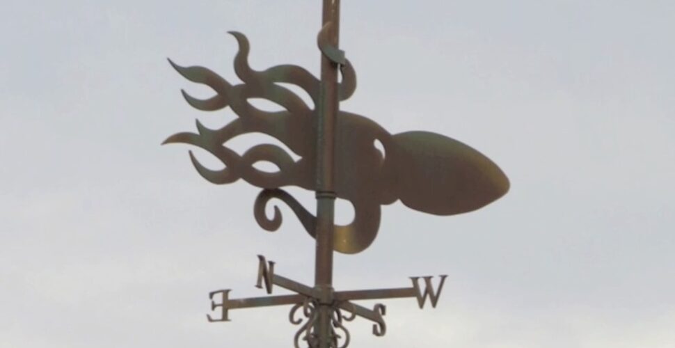 Squid weather vane at Magic Kingdom