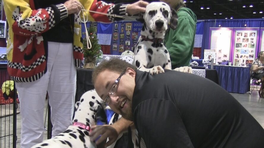 Celebrate Dogs show