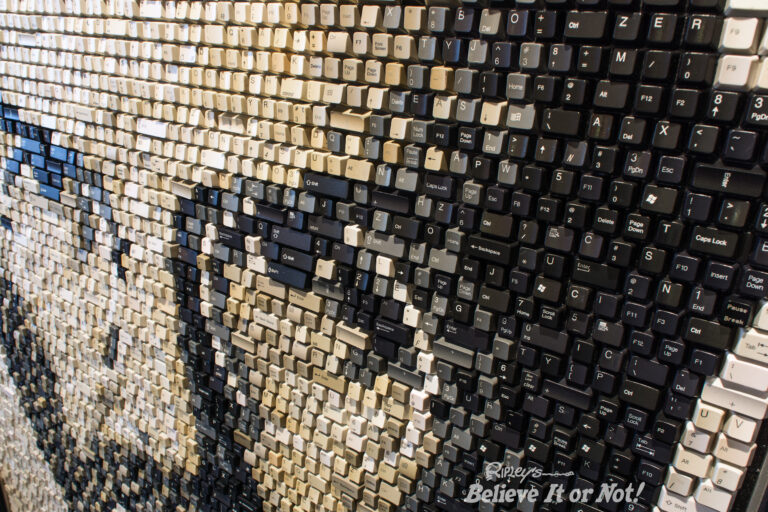 Steve Jobs portrait made of computer keys acquired by Ripley’s Believe It or Not