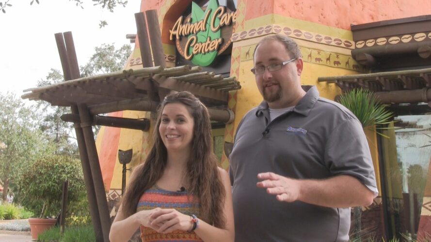 attractions the show busch gardens