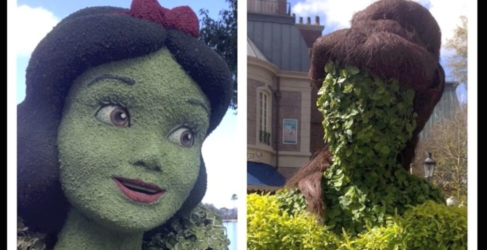Snow white topiary face epcot