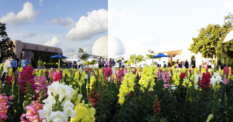 transitions lenses at epcot disney