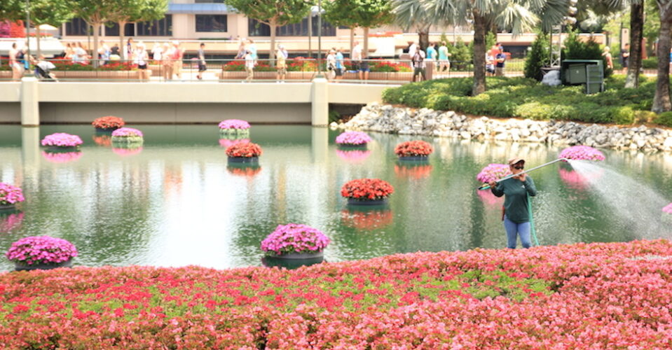 Epcot flower and gardener
