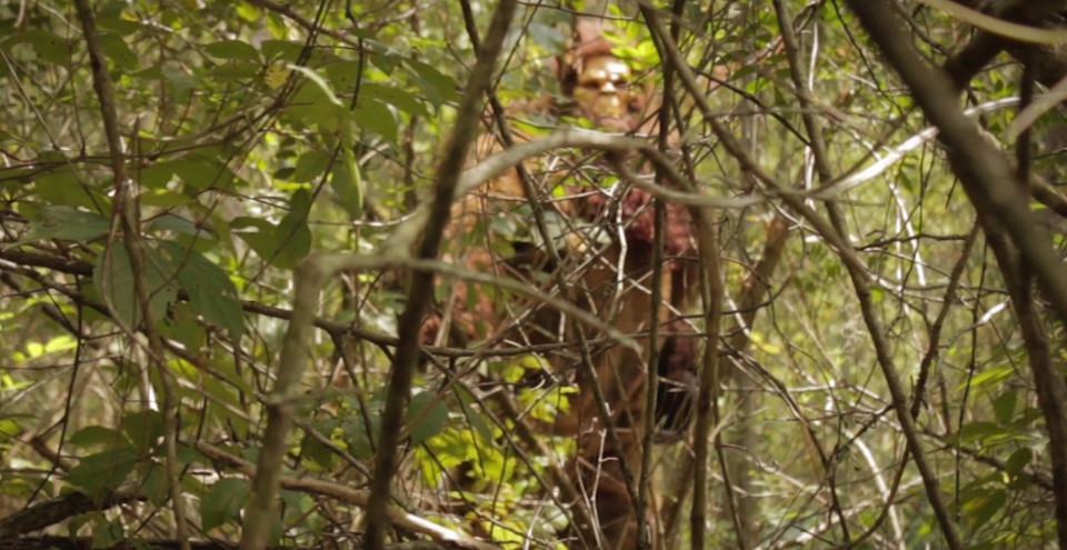 skunk ape at gatorland