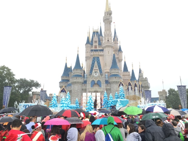 Disney Parks Frozen Christmas Celebration