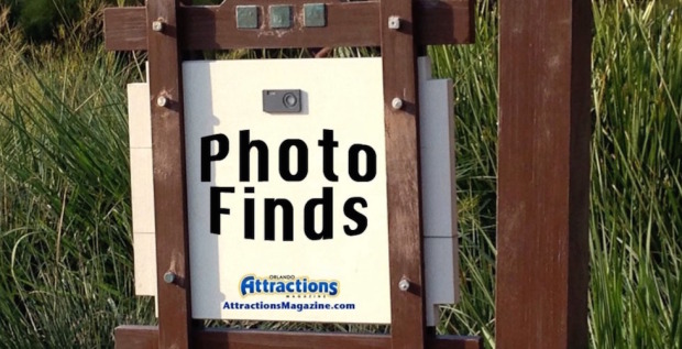 Photo Finds image