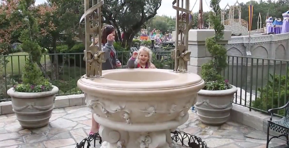 cinderella wishing well