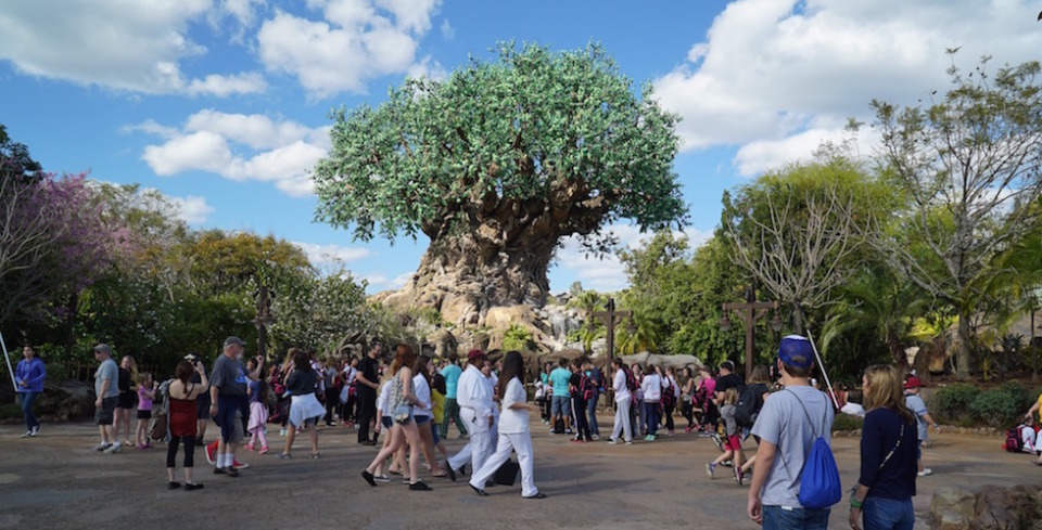 Animal Kingdom new tree sculptures 7