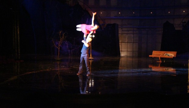 a choreographers' showcase orlando ballet cirque du soleil la nouba