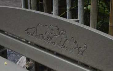 dragon on a bench at animal kindom