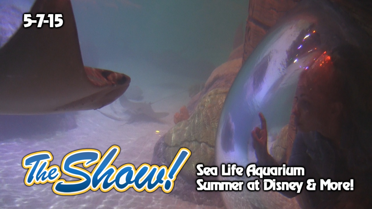 Attractions – The Show – Sea Life Aquarium; Summer at Disney; latest news – May 7, 2015