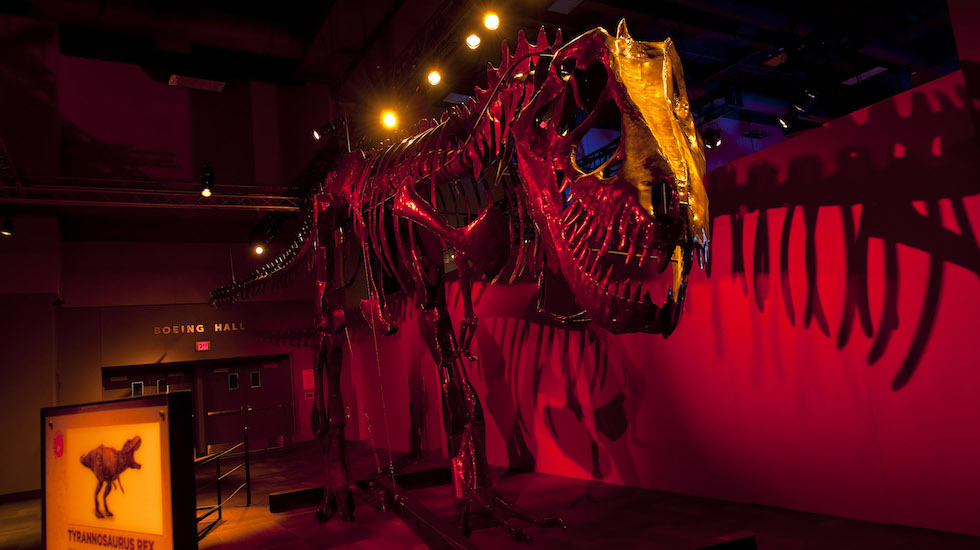 Dinosaurs in Motion exhibit coming to MOSI in Tampa