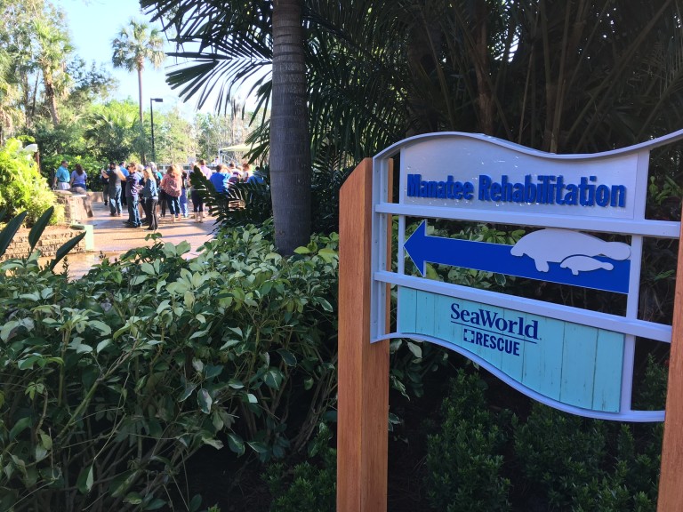 SeaWorld Orlando expands its manatee critical care facility