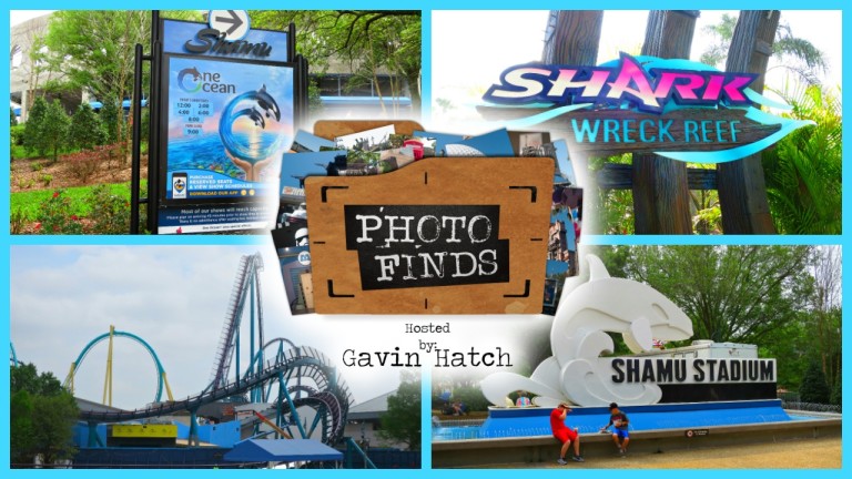 Photo Finds – Mako & SeaWorld in Spring Break – March 29, 2016