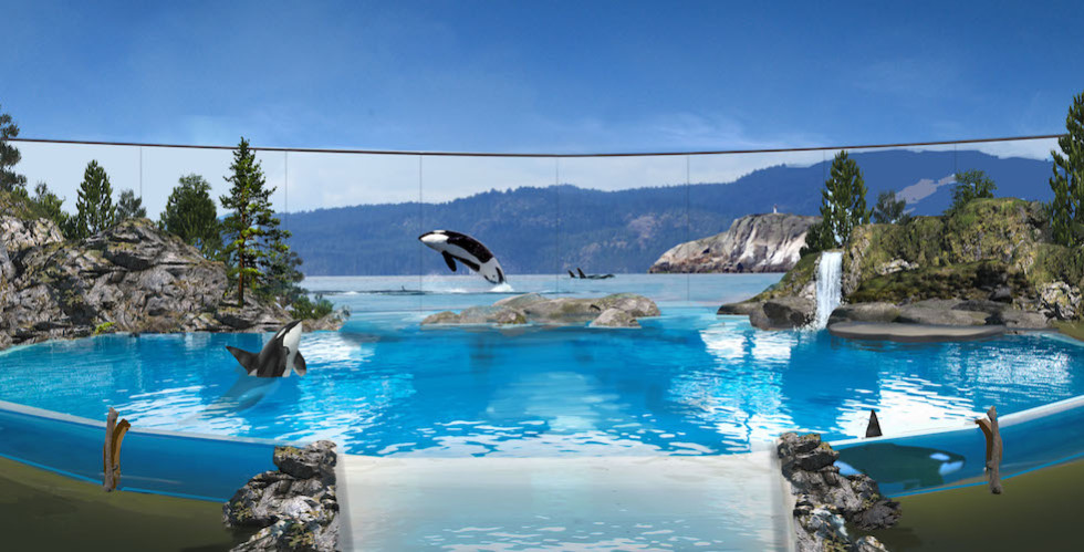 SeaWorld San Diego Orca Encounter