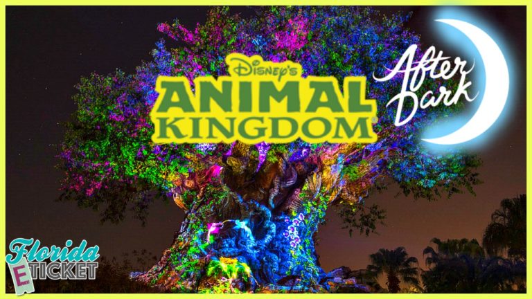 Florida E-Ticket – ‘Animal Kingdom After Dark’ – June 4, 2016