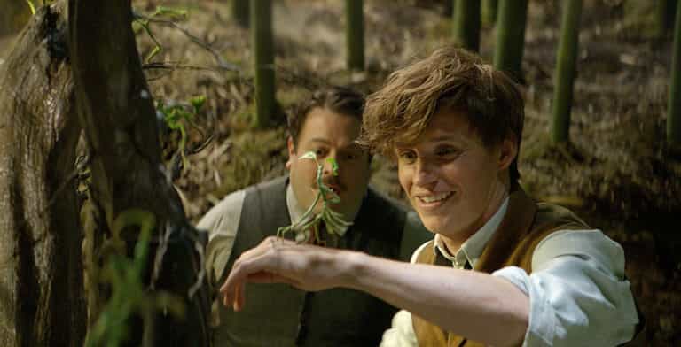 FANTASTIC BEASTS AND WHERE TO FIND THEM