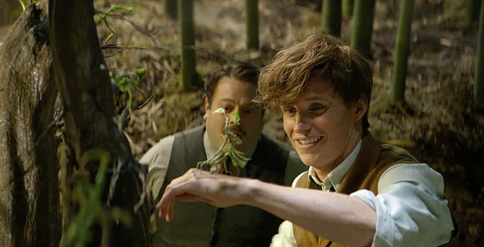 FANTASTIC BEASTS AND WHERE TO FIND THEM
