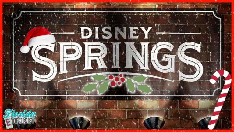Florida E-Ticket – ‘Holidays at Disney Springs’ – Dec. 3, 2016