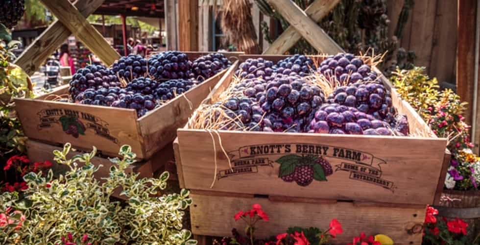 Knott's Berry Farm Boysenberry Festival returns April 123