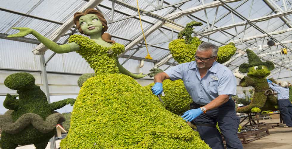 belle topiary flower and garden