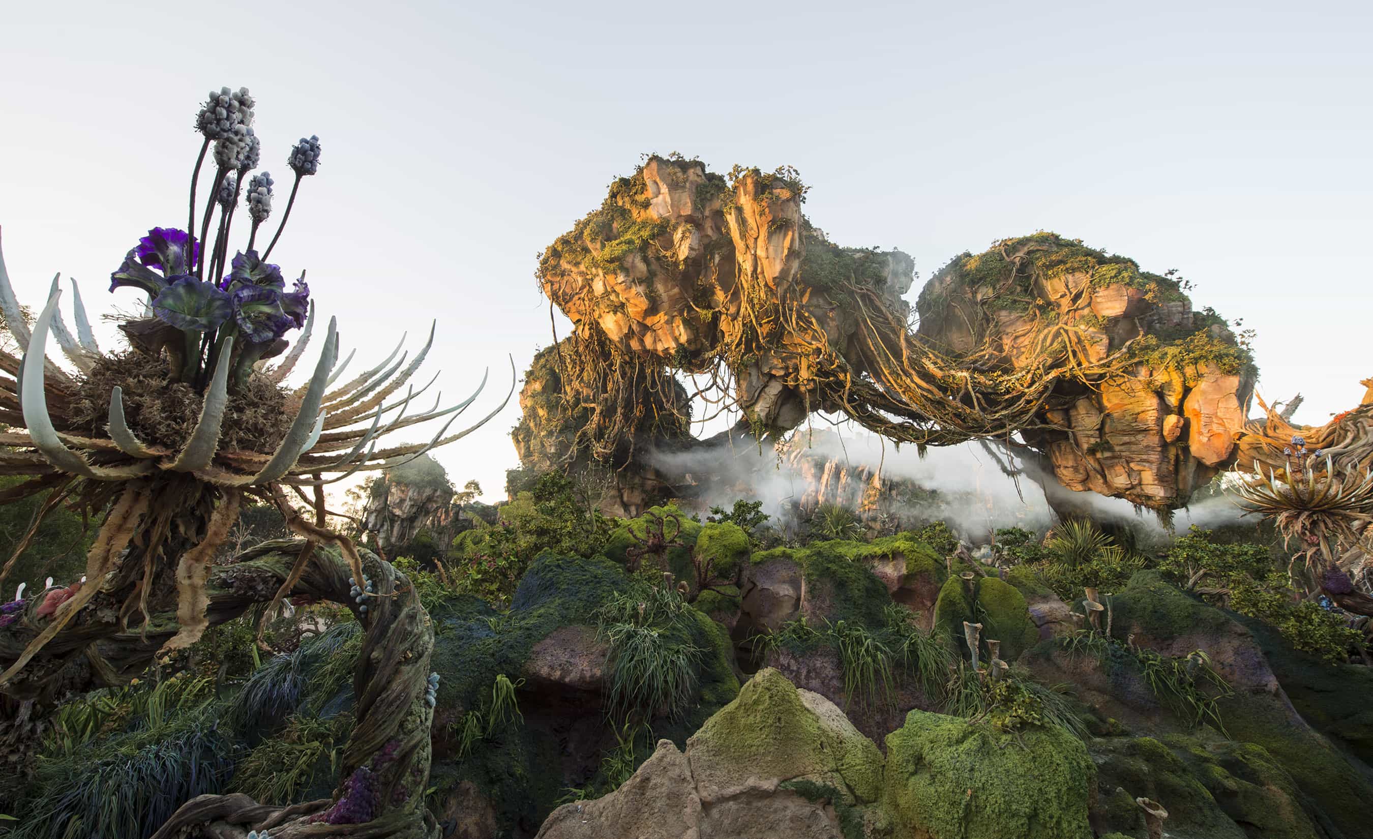 ABC Television Broadcasts Pandora Preview From Disney s Animal Kingdom ABC Television Broadcasts Pandora Preview From Disney s Animal Kingdom