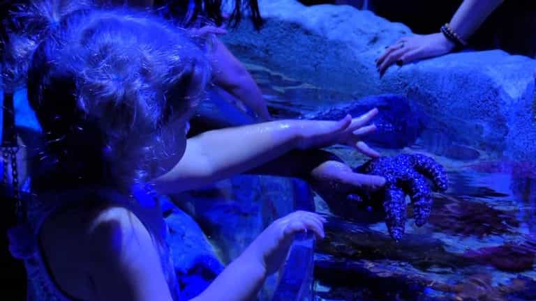 Kids can enjoy Toddler Time inside Sea Life Orlando Aquarium