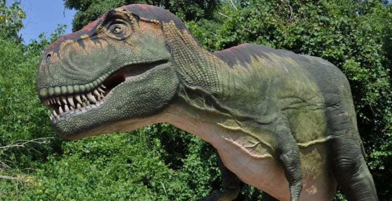 Dinosaurs come stomping back to Brevard Zoo this November