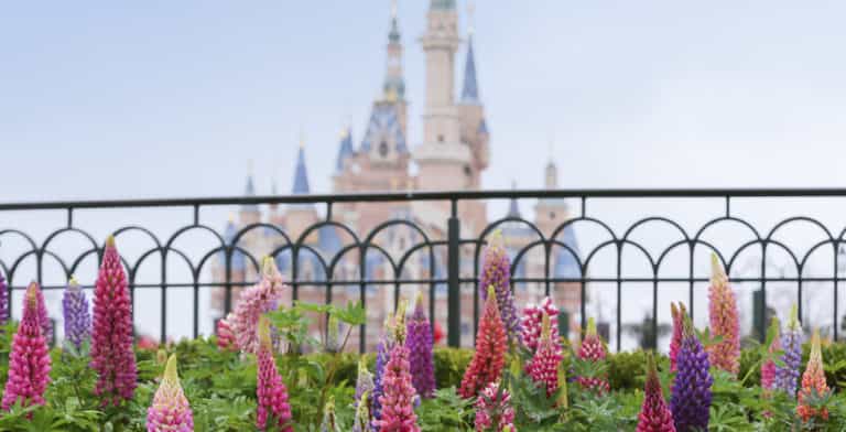 Shanghai Disneyland celebrates spring with new experiences